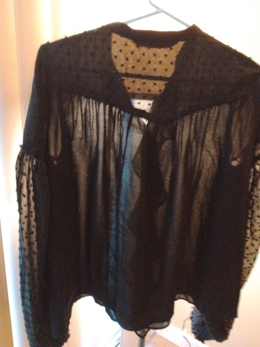 ZARA Black Sheer Swiss Dot Long Sleeve Blouse  - Boho